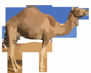 Camel Clip Art