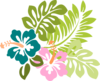 Hibiscus Clip Art