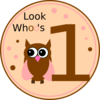 Owl Birthday Clip Art