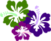 Hibiscus Trio Clip Art