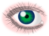 Green Eye Clip Art