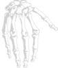 Hand Bones Clip Art