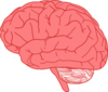 Brain Clip Art