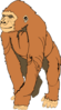 Ape Clip Art