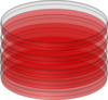 Red Petri Dish Clip Art