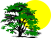 Sun And Tree Clip Art