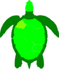 Green Sea Turtle Clip Art