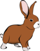 Brown Bunny Rabbit Clip Art