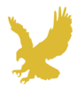 Golden Eagle Copy Clip Art