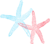 Wendy Starfish Clip Art