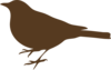 Brown Song Bird  Clip Art