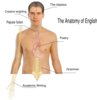 Human Body Anatomy Basics Clip Art