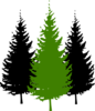 3pinetrees Clip Art