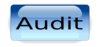 Button Blue Audit Clip Art