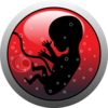 Human Embryo Clip Art