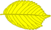 Yellow Leaf Clip Art