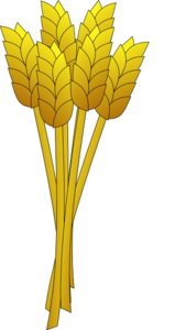 Wheat - Without Blade - Edit Of Ocal S Image Clip Art