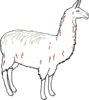 Llama Outline Clean Clip Art