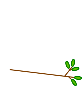 Branch Clip Art