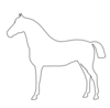 Horse Clip Art