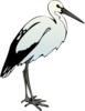 Ibis Clip Art