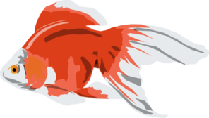 Goldfish Clip Art