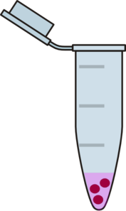 Eppendorf Tube With Dbs & Mem Clip Art