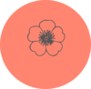 Poppy Clip Art