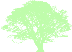 Tree Clip Art