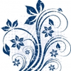 585 1 Image