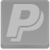 Paypal Icon Image