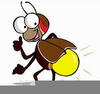Clipart Of Insects Image