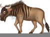 Grassfields Clipart Image