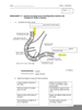 Gas Exchange Worksheet Image