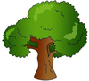 Sycamore Tree Clipart Image