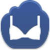 Bra Icon Image