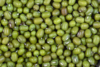 Mung Bean Image