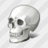 Icon Skull Image