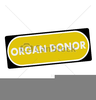 Organ Donor Clipart Image