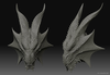 Dragon Face Front Image