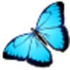 Butterfly Image