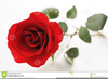 Clipart San Valentin Image