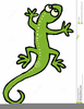 Clipart Pictures Of Lizards Image