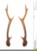 Deer With Antlers Clipart Image