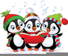 Cute Penguin Christmas Clipart Image