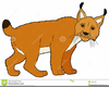 Wildcat Cartoon Clipart Image