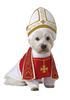 Dog Halloween Costumes Image