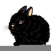 Free Rabbit Clipart Image