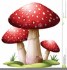 Free Magic Mushroom Clipart Image