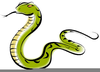 Free Viper Clipart Image